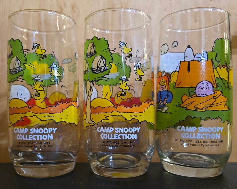 Vintage Camp Snoopy Collection (3)